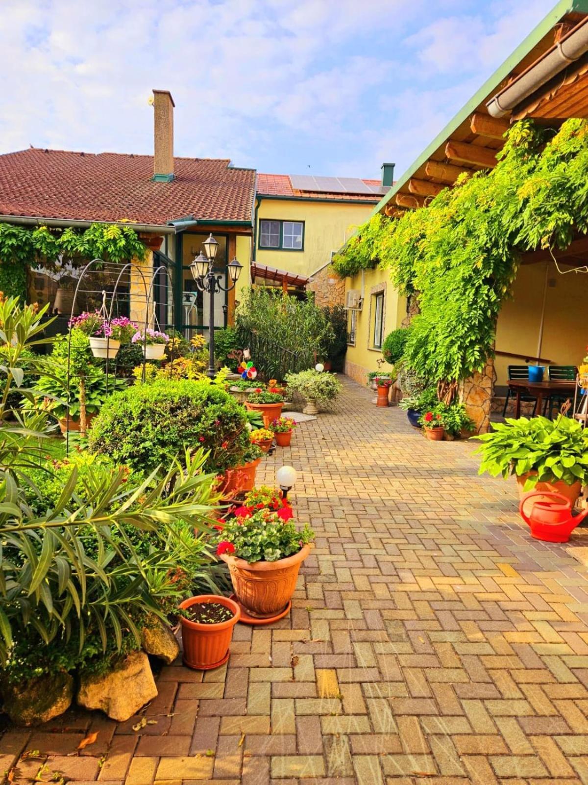 Ferienwohnung Koppi Pamhagen Extérieur photo