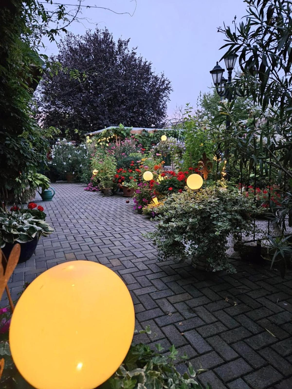 Ferienwohnung Koppi Pamhagen Extérieur photo