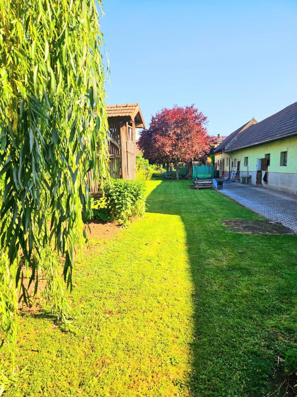 Ferienwohnung Koppi Pamhagen Extérieur photo