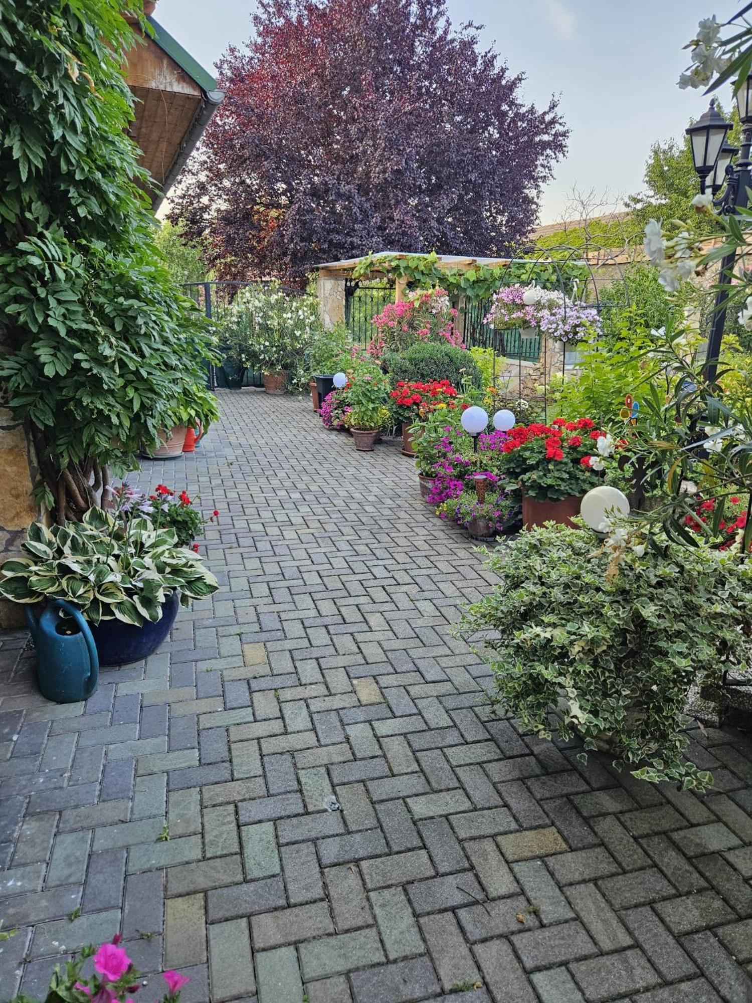 Ferienwohnung Koppi Pamhagen Extérieur photo